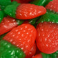 Fraises des Bois - 100g